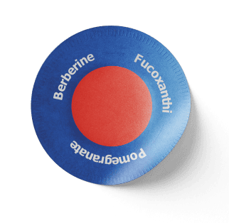 New Year Special โจ | ๐๐๐๐ฅ๐ซ๐ข๐ณ๐ยฎ ๐๐๐ซ๐ฏ๐ฒ๐ซ๐ข๐ง๐ ยท Fucoxanthin ร NADโบ ๐๐-๐ข๐ง-๐ Highly Absorbale ๐๐๐ญ๐๐ (๐ฏ๐ข๐ฌ๐ข๐๐ฅ๐ ๐๐ก๐๐ง๐ ๐๐ฌ ๐ข๐ง ๐ ๐๐๐ฒ๐ฌ๏ผ โ
Support your energy.โ
Support the life you want to live.